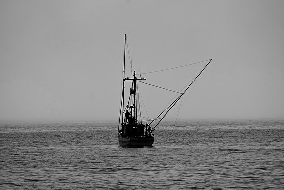DSC_0066
