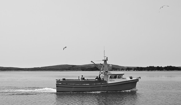 DSC_0010
