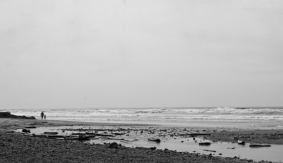 DSC_0104