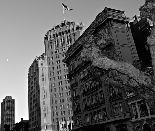 DSC_0093