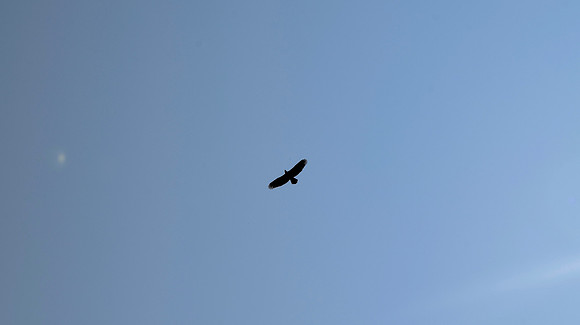DSC_0038