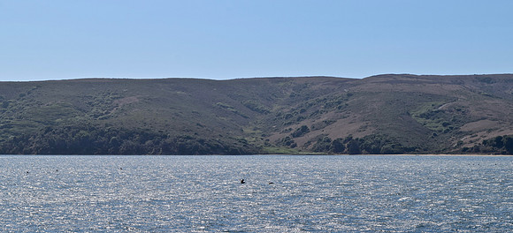DSC_0268