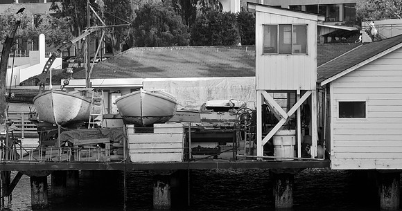 DSC_0017