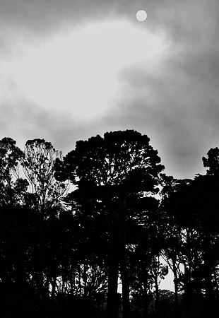 DSC_0005