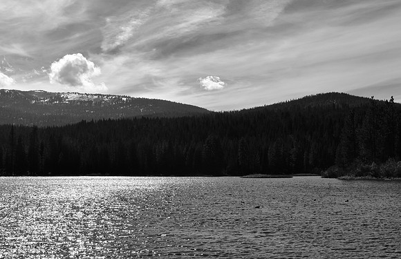 DSC_0508