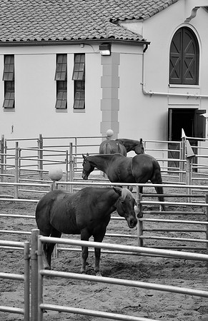 DSC_0052