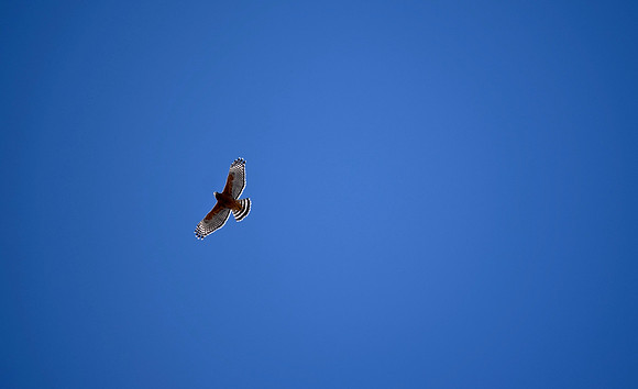 DSC_0166