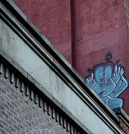 DSC_0238
