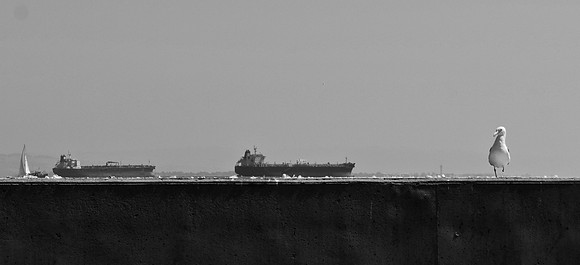 DSC_0331