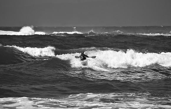 DSC_0232