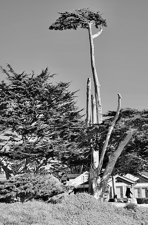 DSC_0015