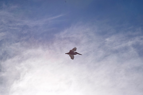 DSC_0076
