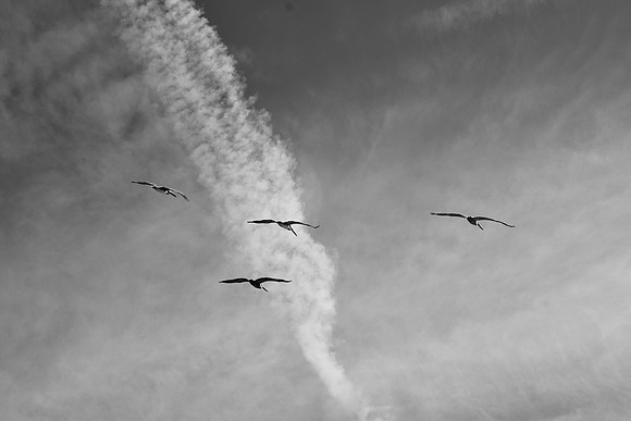 DSC_0093