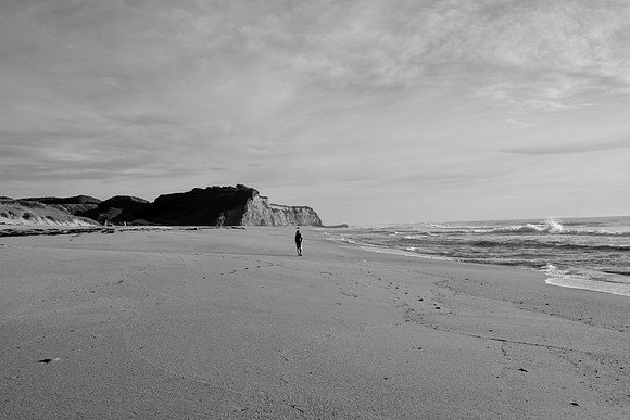 DSC_0219