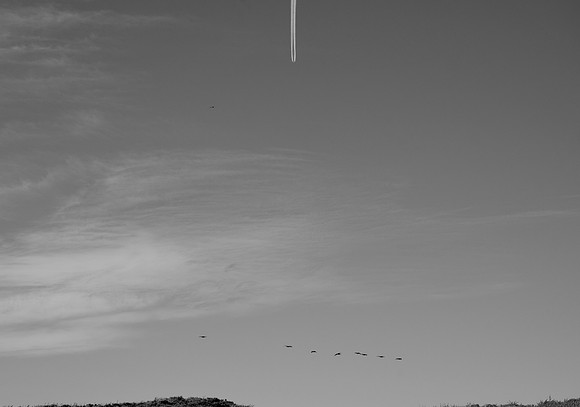 DSC_0063