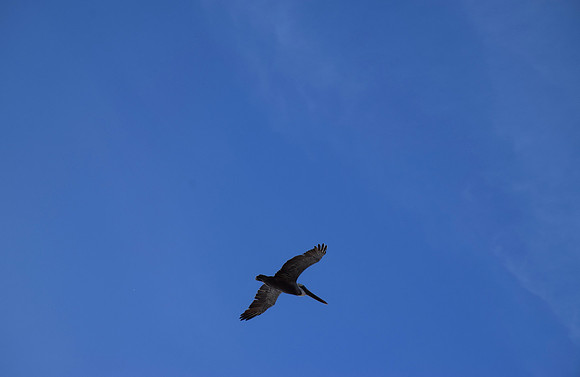 DSC_0077