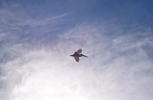DSC_0076