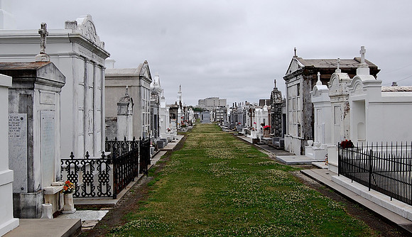 DSC_0029_6