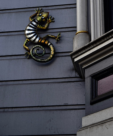 DSC_0068