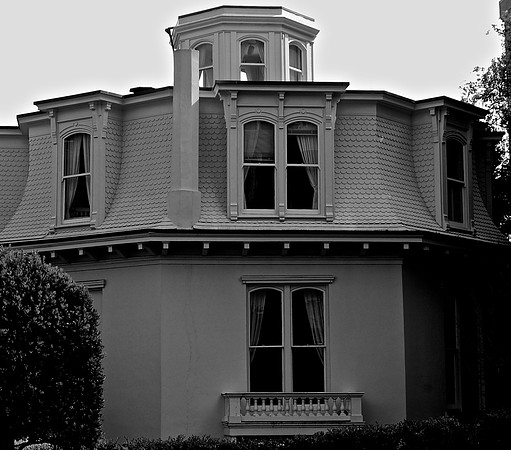 DSC_0003 (2)