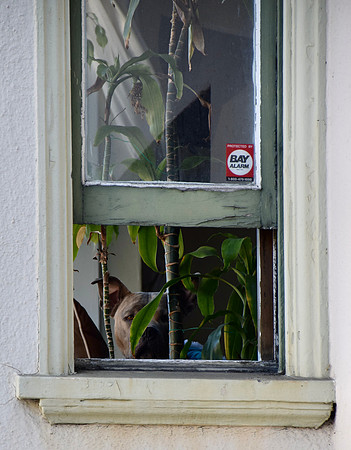 DSC_0013