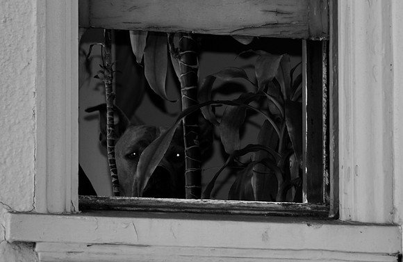 DSC_0014