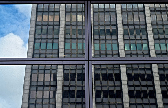 DSC_0369