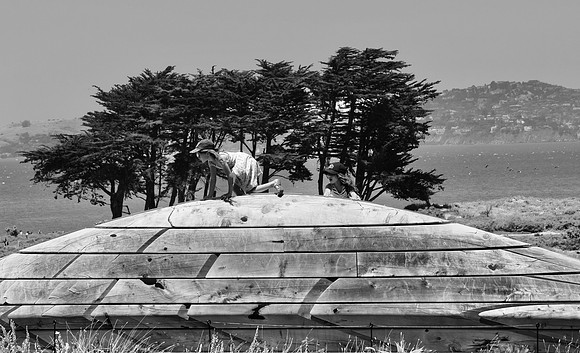 DSC_0018