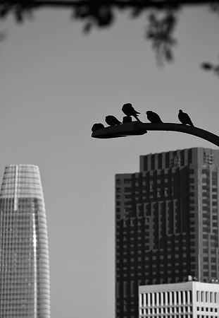 DSC_0015