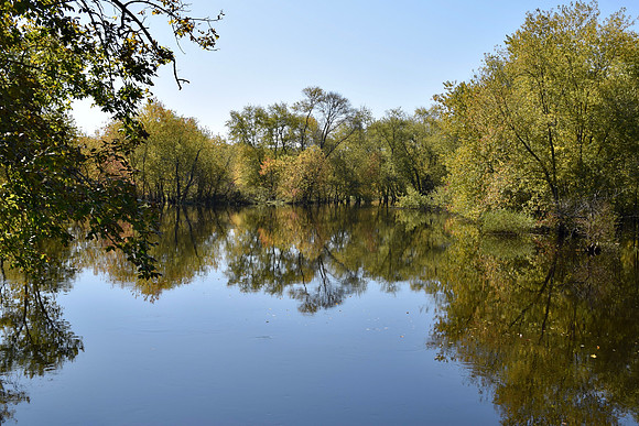 DSC_0004