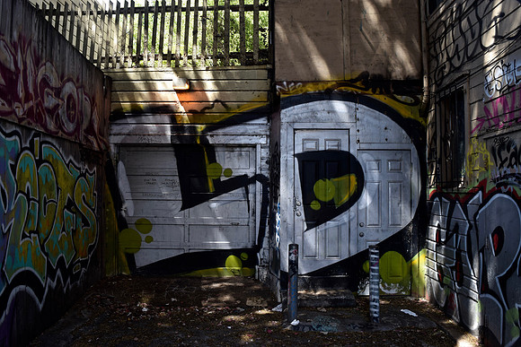 DSC_0017