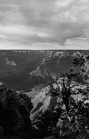 DSC_0217