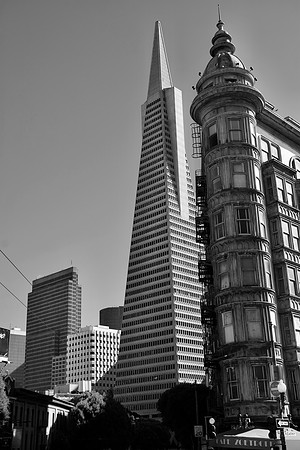DSC_0049
