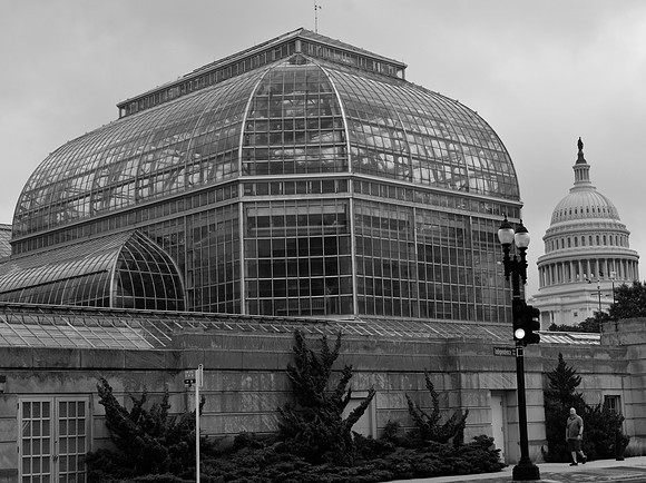 DSC_0310