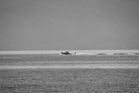DSC_0016
