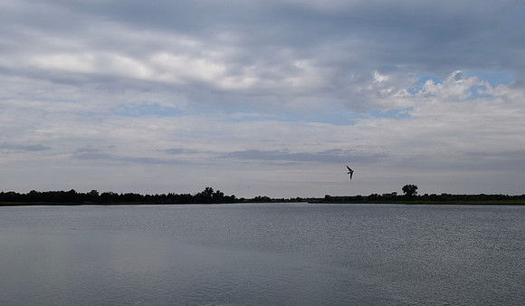 DSC_0093
