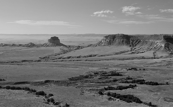 DSC_0163