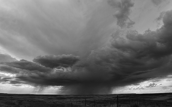 DSC_0224