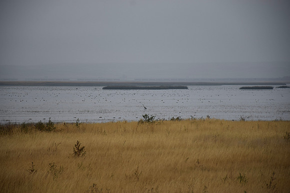 DSC_0336