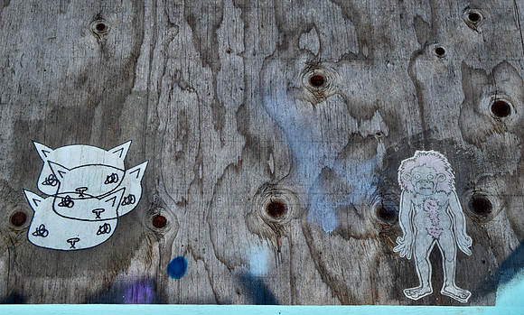 DSC_0050