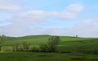 DSC_0059