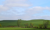 DSC_0060