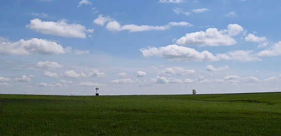 DSC_0101