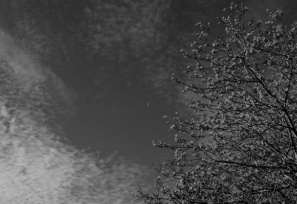 DSC_0187