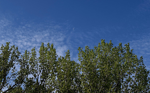 DSC_0191