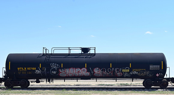 DSC_0236