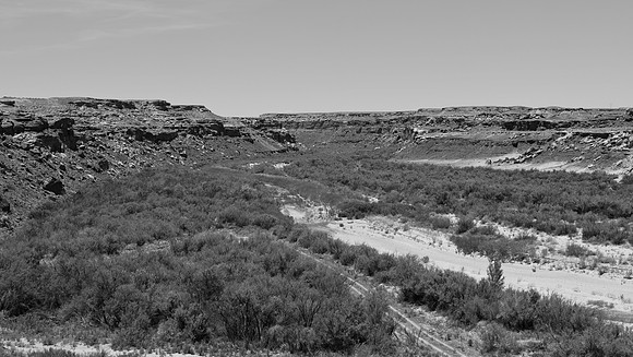 DSC_0384