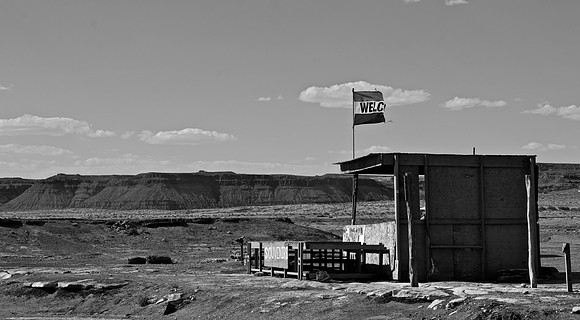 DSC_0423