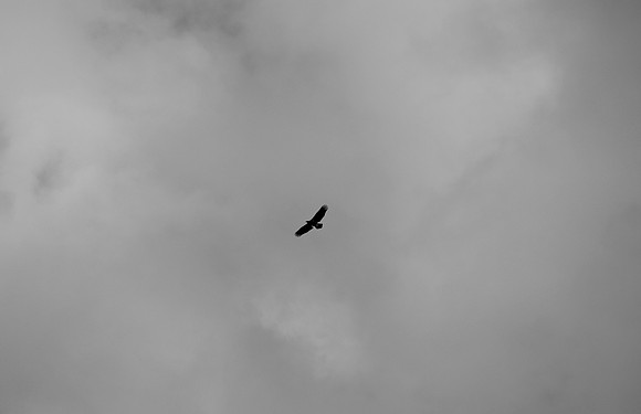 DSC_0080