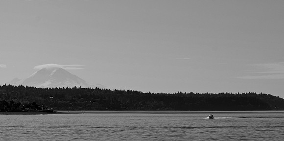 DSC_0396